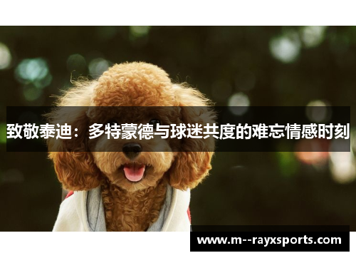 致敬泰迪：多特蒙德与球迷共度的难忘情感时刻