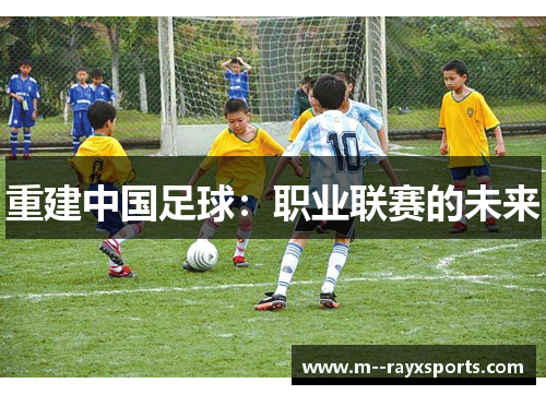 重建中国足球:职业联赛的未来 重建中国足球:职业联赛的未来
